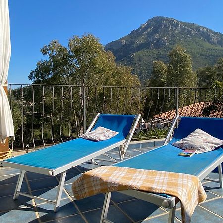 Taddore Green Lodge Galtellì Dış mekan fotoğraf