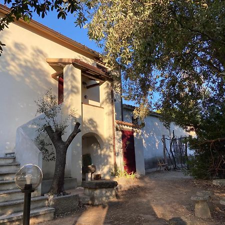 Taddore Green Lodge Galtellì Dış mekan fotoğraf