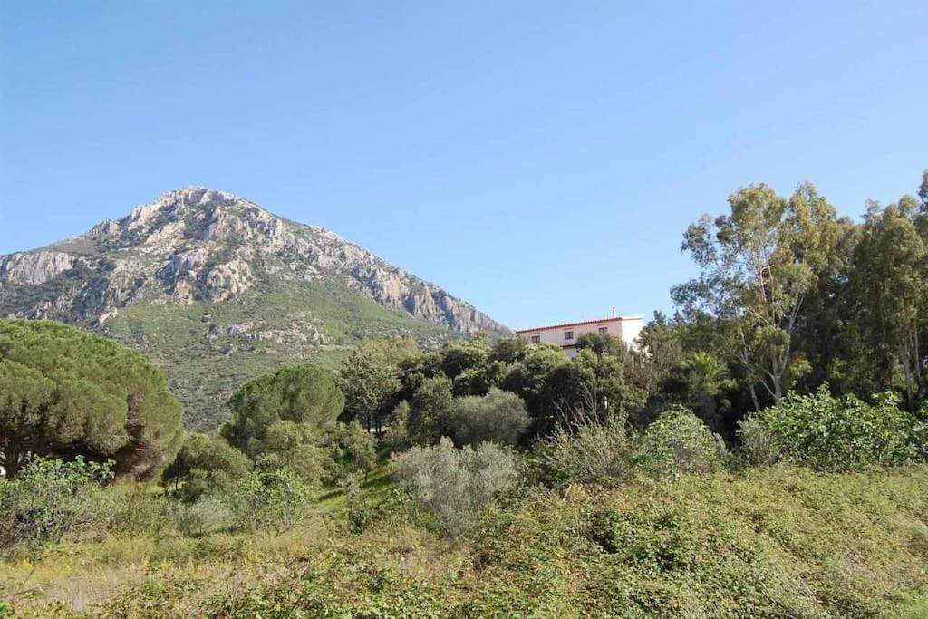 Taddore Green Lodge Galtellì Dış mekan fotoğraf