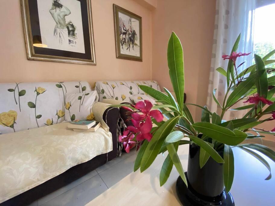 Taddore Green Lodge Galtellì Dış mekan fotoğraf