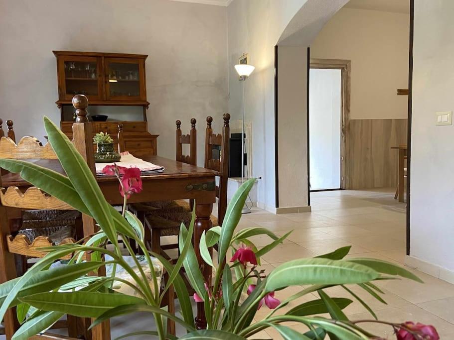 Taddore Green Lodge Galtellì Dış mekan fotoğraf
